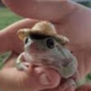 Meet your Posher, Reese